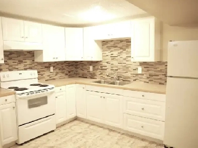 Large 1200sf Renod 2BR Walkout Bsmt-Renod kitchen/bath-fence-pet Image# 5