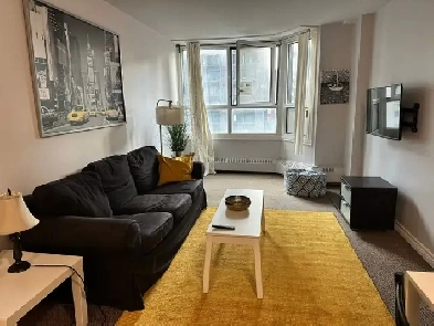 Guy-Concordia_ furnished__1 bedroom_ 2 beds Image# 1