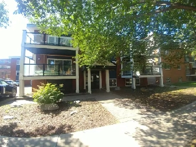 Whyte Avenue Apartment Image# 4