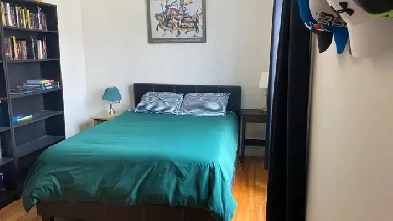 beautiful 31/2 apartment Montreal Image# 1