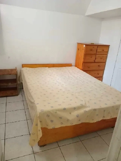 1 bed room basement Image# 1