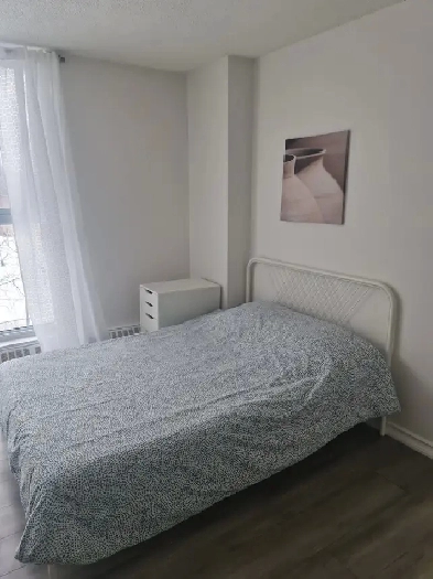 NOW - Big fully furnished room with balcony at York U & subway Image# 1