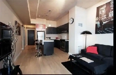 Modern 1 Bedroom Loft for Rent, King & Bathurst Image# 5
