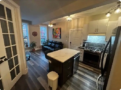 Downtown upscale 2 br apt with deck,all inclusive inclu internet Image# 5