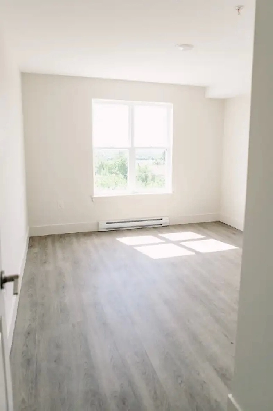 1 Large  Bedroom Unit  plus office available July 1 2025 Image# 4