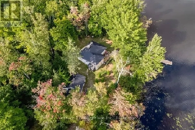 ~~~Muskoka cottage~~~ Your Own Private Paradise on Pine Lake. Image# 6