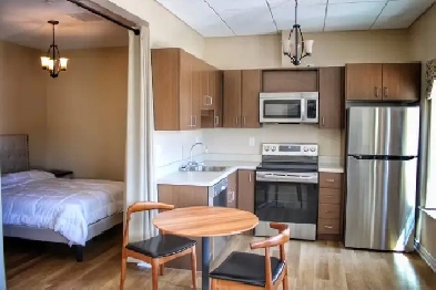 RECENTLY UPDATED 1 BEDROOM APT. FOR RENT IN ST. CATHARINES Image# 4