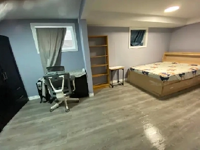 New renovation walk out unit available NOW,single/couple$60/day Image# 1