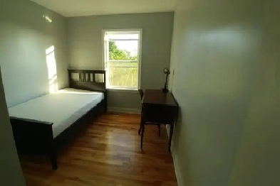 Small room in Dartmouth Image# 1