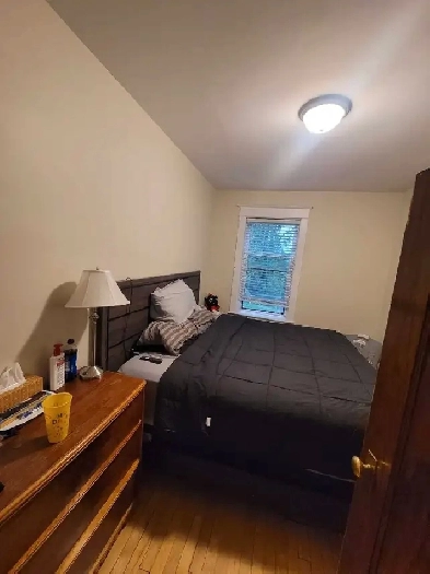 2 bedroom apartment wolseley July 1st Image# 1