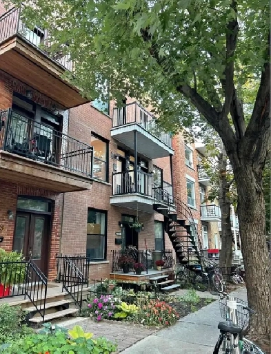 appartement rénové sur le plateau Image# 1