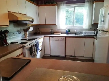 SEP 1st | Room For Rent $700   Wifi | 3 Bedroom House 1.5 Bath Image# 8
