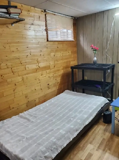 Spacious Furnished Basement Room for Rent in Brampton (Available Image# 1