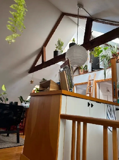 Superbe 4 1/2 à louer Vieux-Qc 1er juillet Image# 1