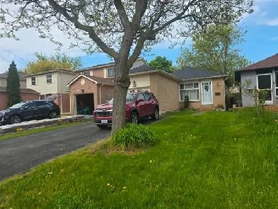 1 Bedroom Basement Apartment in Mississauga Image# 1