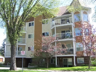 University area 2-bed 2-bath condo for rent Image# 6