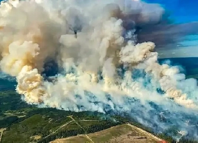 Bedroom for Rent in Etobicoke Image# 1