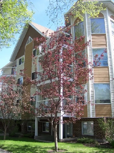 University area 2-bed 2-bath condo for rent Image# 9