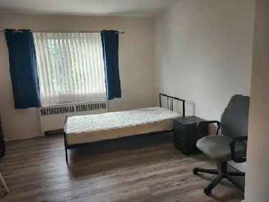 Studio 1 1/2 a louer. Apartment 1 1/2 for rent Image# 1