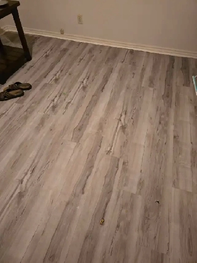 2 Bedroom Legal Basement Image# 4