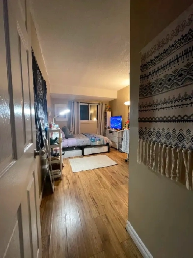 Spacious Room for Rent on Gormanvile – Female Tenant Only Image# 3
