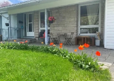 fully furnished unit for rent (July first) Image# 6