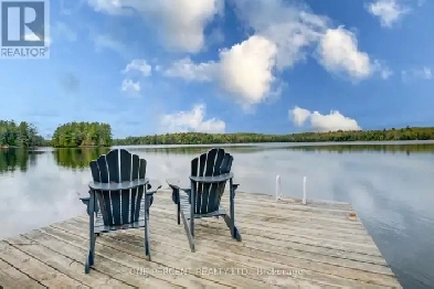 Year-round Waterfront Home on Gooderham Lake Image# 5