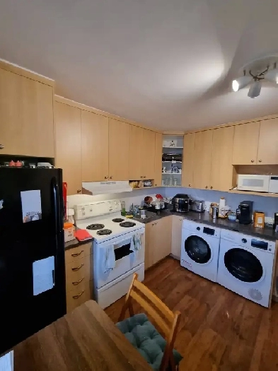 3.5 à 1min du métro Joliette. Electros inc. lumineux Image# 1