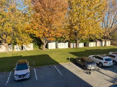 Boucherille 5 1\2 près des services, bois franc, SDL séparé Image# 2