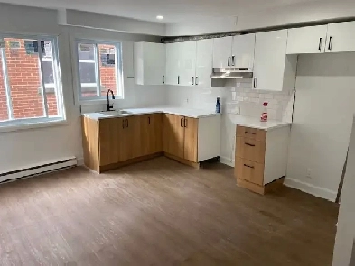 5 1/2 à louer Image# 1