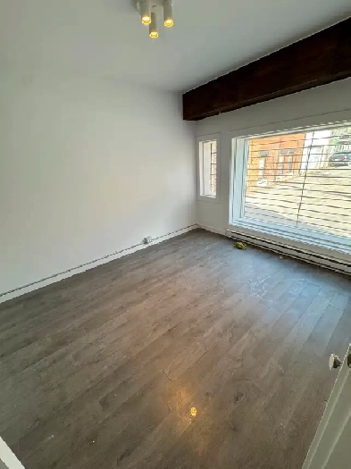 Appartement à louer Plateau-Mont-Royal à coté du Parc Lafontaine Image# 1