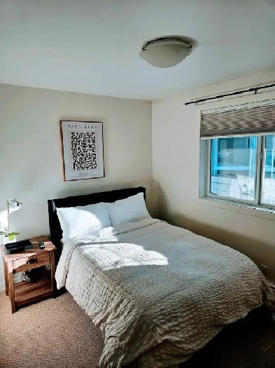 Inner city room for rent during Stampede Image# 1