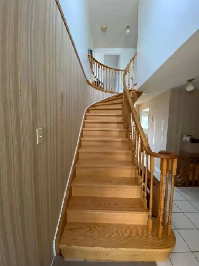 Room for Rent Image# 11