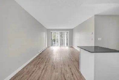 1 Bedroom Abbotsford Image# 14