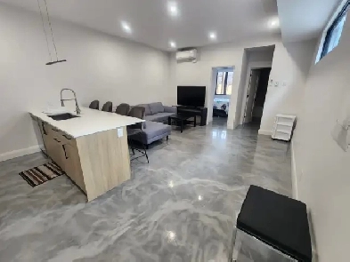 Furnished 1-bedroom apartment in Vanier/Beechwood Image# 5