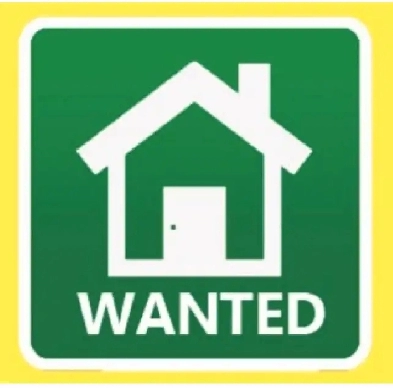 Wanted Apartment Image# 1