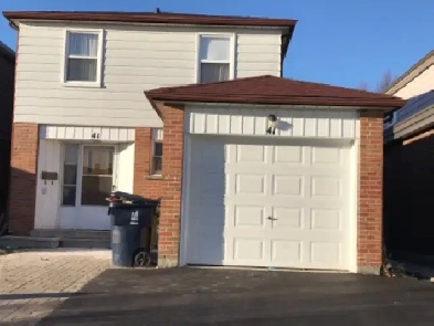 Scarborough Basement for Rent Image# 3