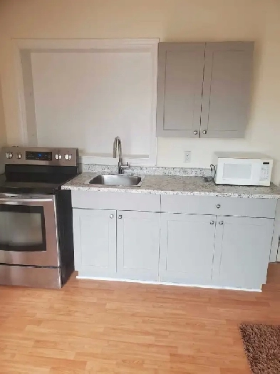 for rent 1 bedroom apt. north york. Image# 4