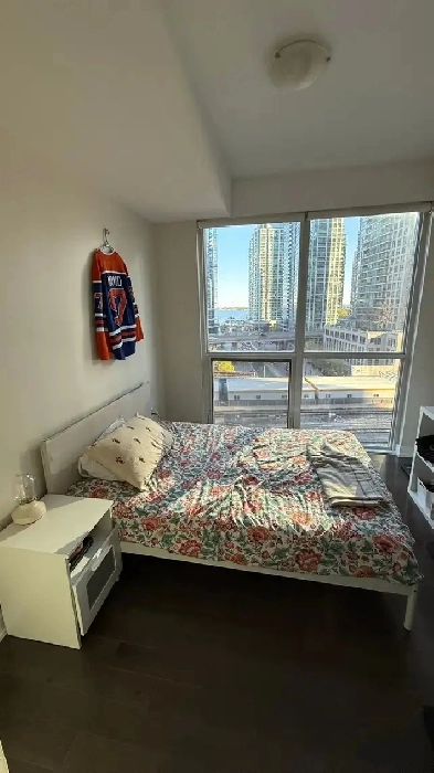 1 Sunny BR w/Ensuite Wash RM - Lakeview next to Union Station Image# 8