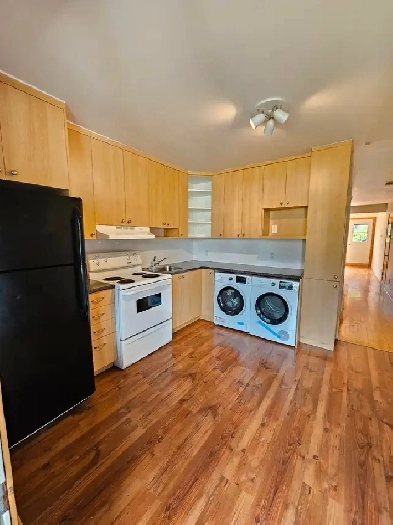 3.5 à 1min du métro Joliette. Electros inclus, lumineux et calme Image# 1