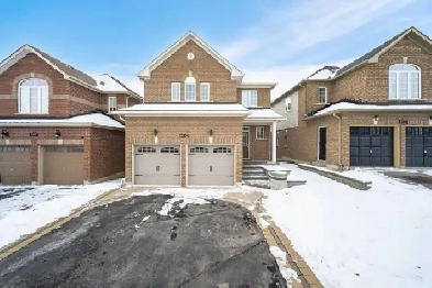 Spacious & Cozy Basement Apartment Near Everything You Need Image# 4