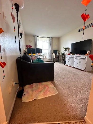 1 bedroom Apartment available for a sublet at Downtown Ottawa Image# 5