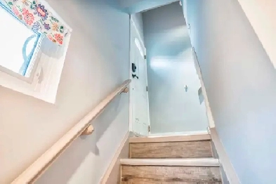 Mississauga basement apartment for rent Image# 1