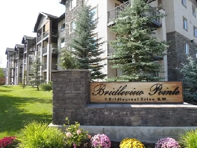 2 bed 1 bath, all utilities and designated parking included Image# 7