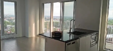 Downtown(Metro Atwater) 2 Bedrooms condo for rent - city view Image# 1