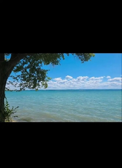 Logement à Louer Image# 1