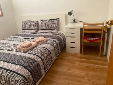 Short term rental roommates wanted near UA Image# 10