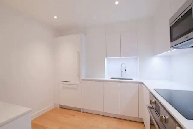 renovated downtown 2-bed apartment, McGill, July 1st - ID 3730 Image# 1