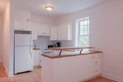 2 bedroom apartment for rent Guy-Concordia - ID 3982 Image# 1