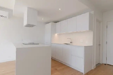 newly renovated one-bedroom apartment near UDEM - ID 865 Image# 1